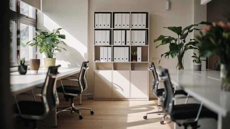 Illustration: aufgeräumtes Gemeinschaftsbüro mit Regalen, Pflanzen und großen Fenstern